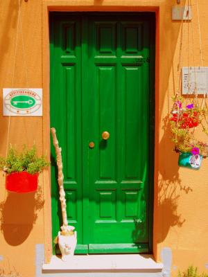 门, 入口, 绿色, 房东, 花, 颜色, 多彩