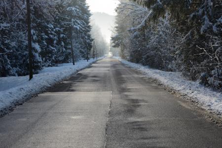 道路, 冬天, 雪, 寒冷, 树木, 森林, 白雪皑皑