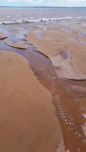 沙子, 泥浆, 海滩, 水, 棕色