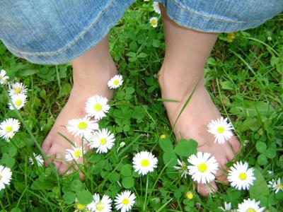 黛西, 儿童脚, 草甸, 春天, 赤脚, 双脚