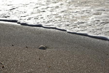沙子, 石头, 波, 泡沫, 海, 海滩, 自然