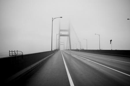 黄海大桥, 桥梁, 雾, 公路, 道路, 运输, 桥-男人作结构