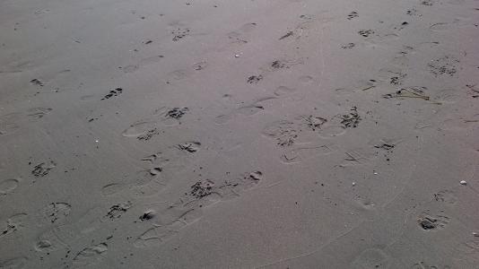 痕迹, 脚印, 海滩