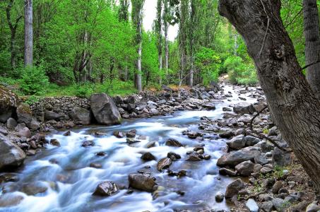 河, 景观, 土耳其, 自然, 绿色, 打开空气, 自然