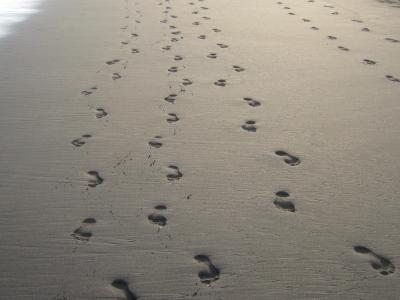 脚印, 沙子, 海滩