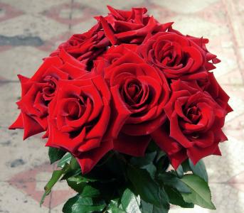 束鲜花, 红玫瑰, 多彩, 花香, 浪漫, 情人节, 植物区系