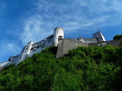 萨尔斯堡要塞, 城堡, 堡垒, 具有里程碑意义, 防御塔, 瞭望塔, 塔