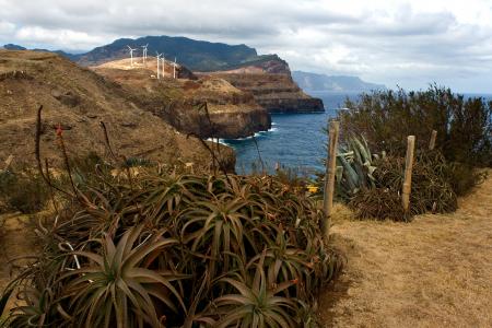马德拉岛, 景观, 南海岸, 岩质海岸, 芦荟精华素