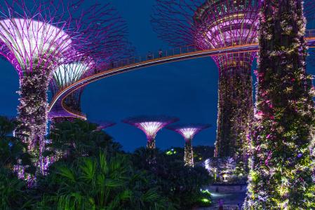 新加坡, 晚上, 建筑, 亚洲, 建设, 摩天大楼, 城市