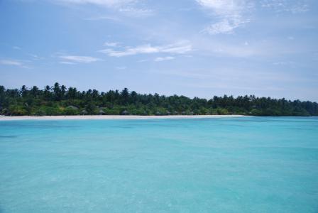 海, 马尔代夫, 视图, 海滩, 白色的沙滩