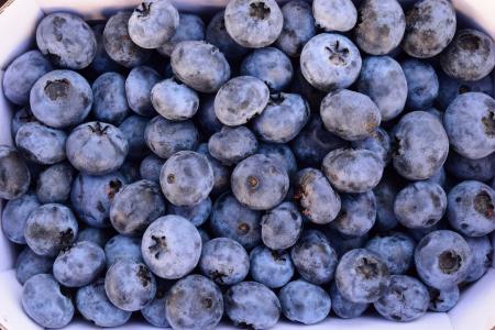 蓝莓, 美味, 水果, 水果, 蓝色, 夏季, 野生浆果