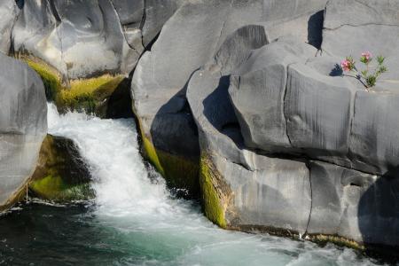 瀑布, 岩石, 河, 水域