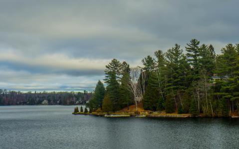 湖, 森林, 加拿大, laurentians, 景观