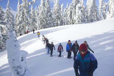 雪步行, 游客, 雪, 冬天, 户外, 徒步旅行, 生活方式