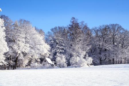 白色, 木制, 房子, 冬天, 景观, 雪, 感冒