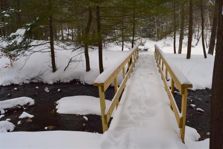 桥梁, 雪, 森林, 流, 克里克, 冬天, 自然
