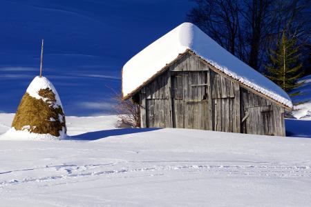 冬天, 谷仓, 雪, 规模, 木材, 小木屋, 自然