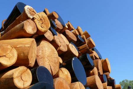 木材, 能源, 热, 自然, 林业