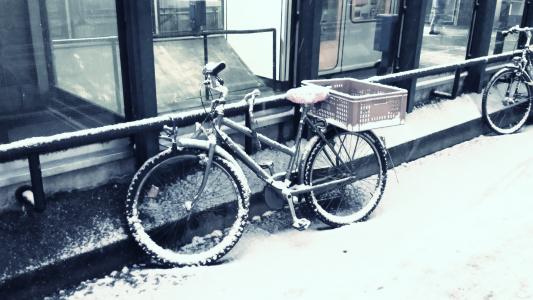 自行车, 雪, 冬天, 大雪封门, 山地自行车, 车轮, 感冒