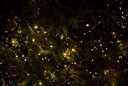 绿色, 圣诞节, 树, 灯, 装饰, 晚上, 照明