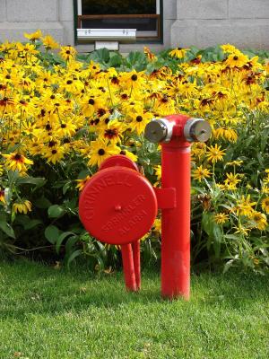 消火栓, 消火栓, 立管, 打开水龙头水, 野花, 花香, 植物