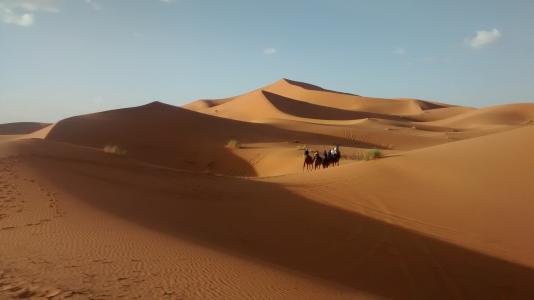沙漠, 摩洛哥, 沙丘, 沙丘, 沙子, 干, 撒哈拉大沙漠