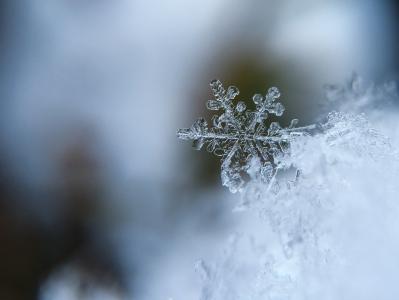 雪花, 雪, 水晶, 雪晶, 感冒, 宏观, 冬天