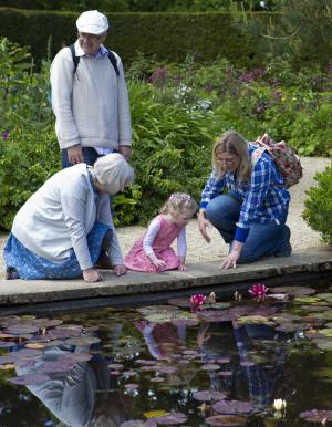 莉莉池塘, 穿粉红色连衣裙的小女孩, 母亲和祖父母, 几点思考, 人, 户外, 家庭