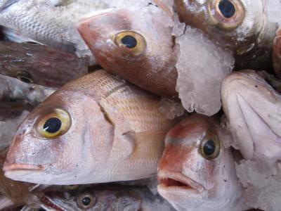 鱼, 鲜鱼, 鱼市场, 市场, 捕鱼, 海, 健康