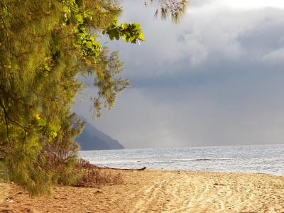 夏威夷, 考艾岛, 海, 海洋, 自然, 水, 海滩
