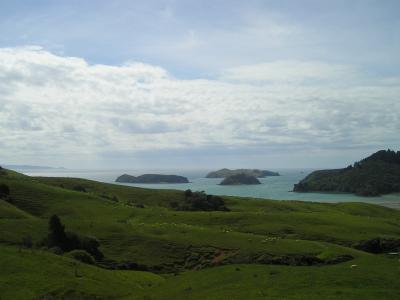 群岛, 新西兰, 绿色, 景观, 北岛
