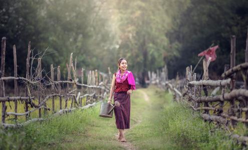 浇水, 农业, 微笑, 在这个国家, 泰国, 户外, 缅甸缅甸