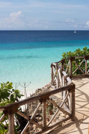 背景, 海滩, 蓝色, 加勒比海, 哥斯达黎加, 概念, 珊瑚