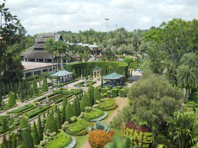 公园, 花园, 植物园, 芭达雅东芭, 热带, 泰国, 户外