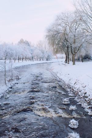 河, 寒冷, 冬天, 景观, 雪, 白雪皑皑, 冬天的魔法