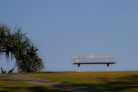 板凳, 座位, 地平线, 棕榈树, 天空, 蓝色, 草