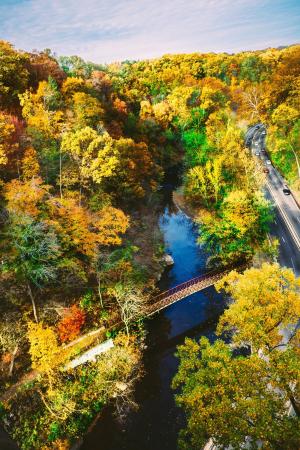 桥梁, 河, 森林, 树木, 秋天, 行人, 公路