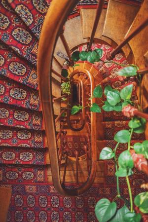 棕色, 木制, 螺旋, 楼梯, 红色, 花香, 地毯