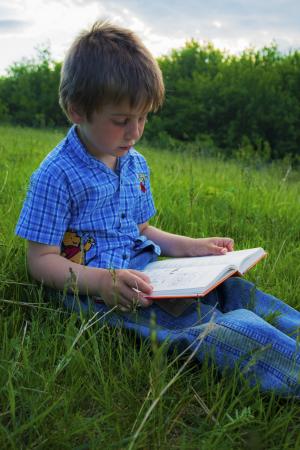 男孩, 儿童, 纯真, 阅读, 书, 自然, 户外