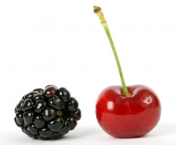 浆果, 黑色, 黑莓, 蓝莓, 早餐, 樱桃, 特写