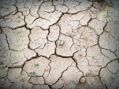 土壤, 粗糙, 地球, 拆分, 裂纹, 生态学, 夏季