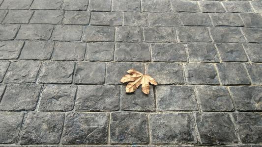 叶子, 砖, 地板