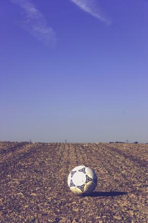 足球, 关于, 可耕, 训练球, 球, 白色, 皮革