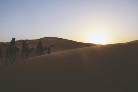 骆驼火车, 骆驼, 沙漠, 沙丘, 人, 沙子, 太阳