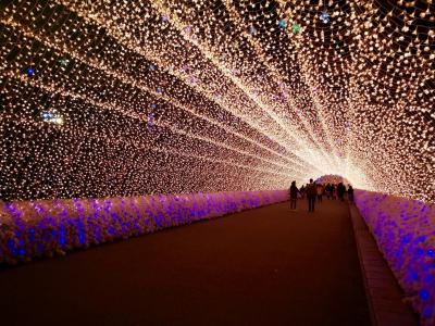 照明, 日本, 光, 晚上, 庆祝活动, 人