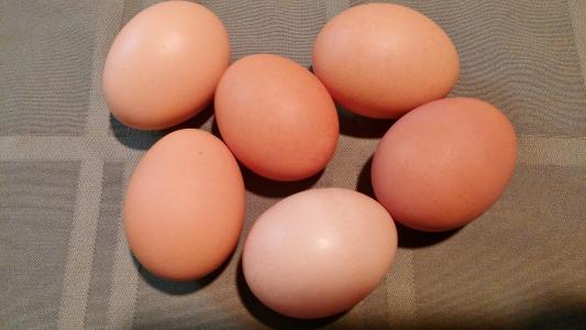 鸡蛋, 棕色, 食品, 壳, 椭圆形, 鸡, 营养
