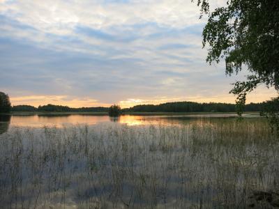 芬兰, 湖, 日落, 斯堪的那维亚, 自然