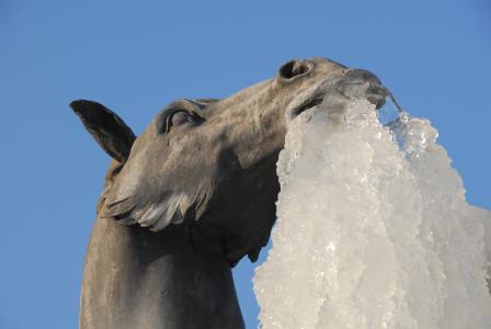 马, 雕像, 冰, 凝胶, 冬天, 感冒, 钟乳石