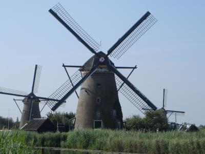 风车, 荷兰, 景观