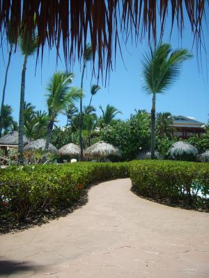 加勒比, 多米尼加共和国, 假日, 路径, 花, 绿色, 热带